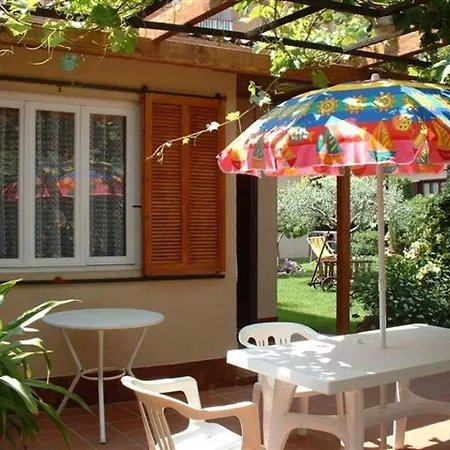 Summer Oasis