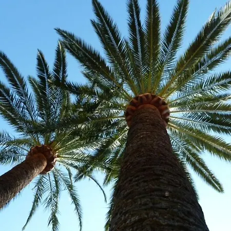 Lägenhet Summer Oasis